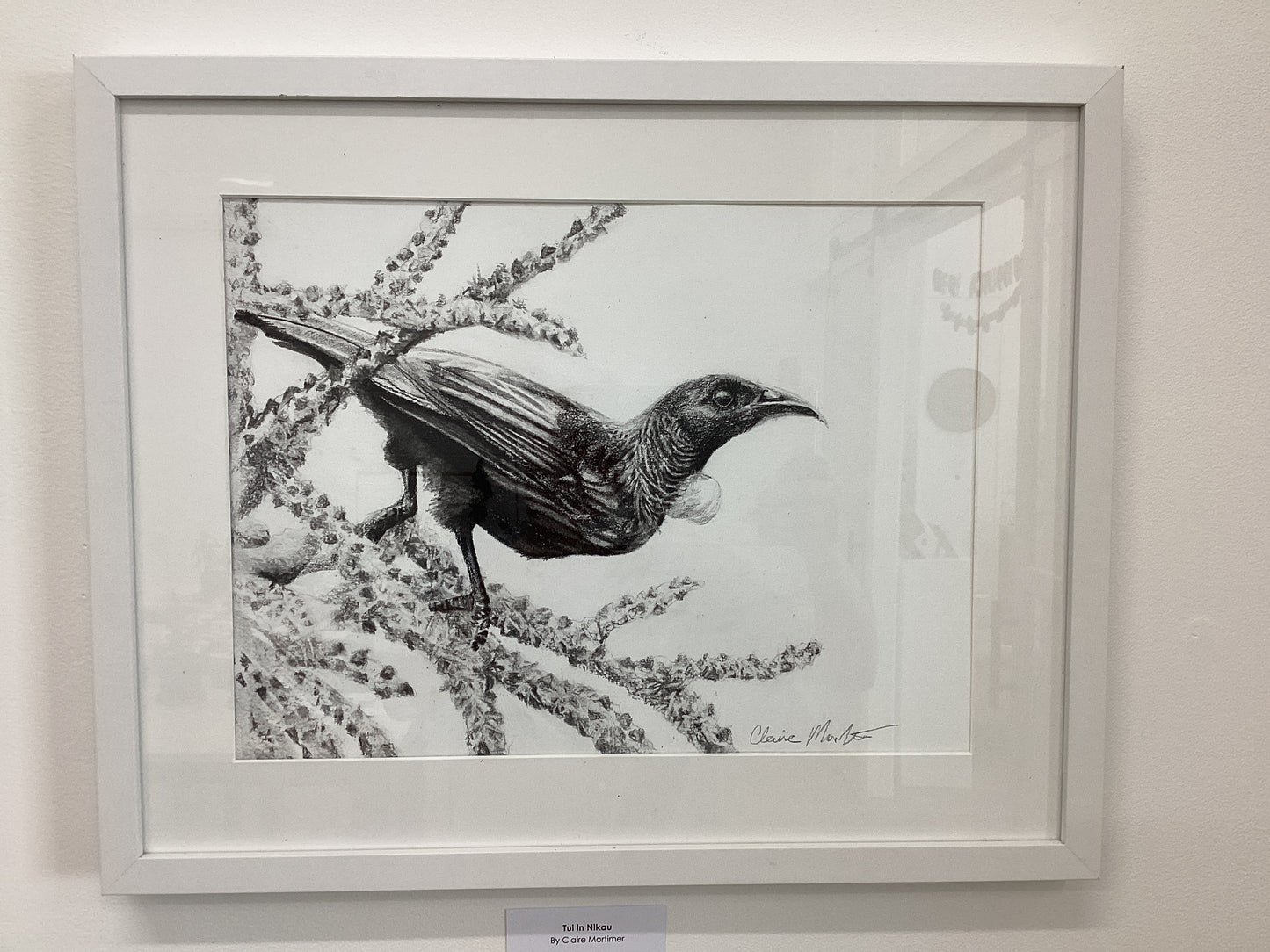 Claire Mortimer - original charcoal drawings