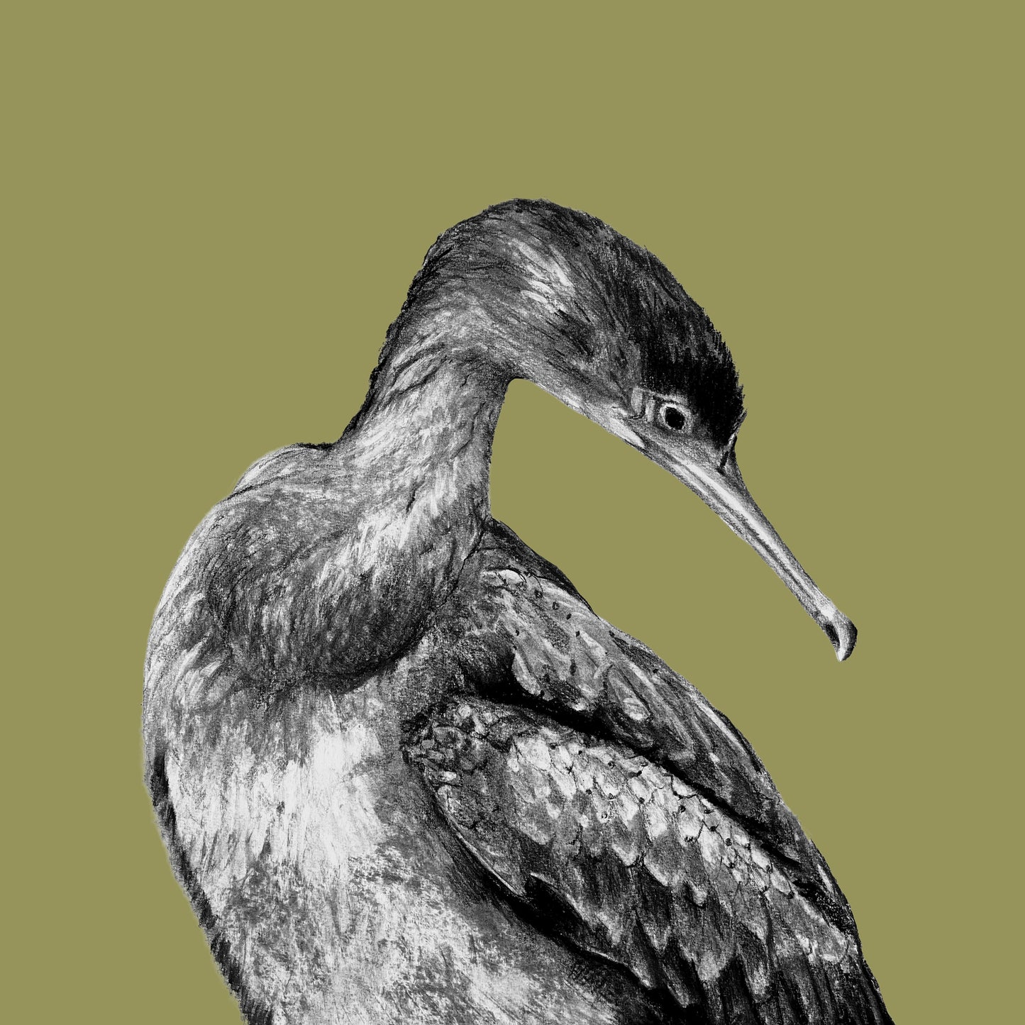 Claire Mortimer Cards