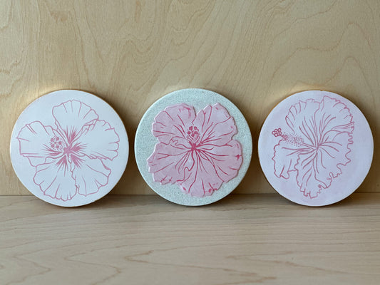 Hibiscus Plaster Studies