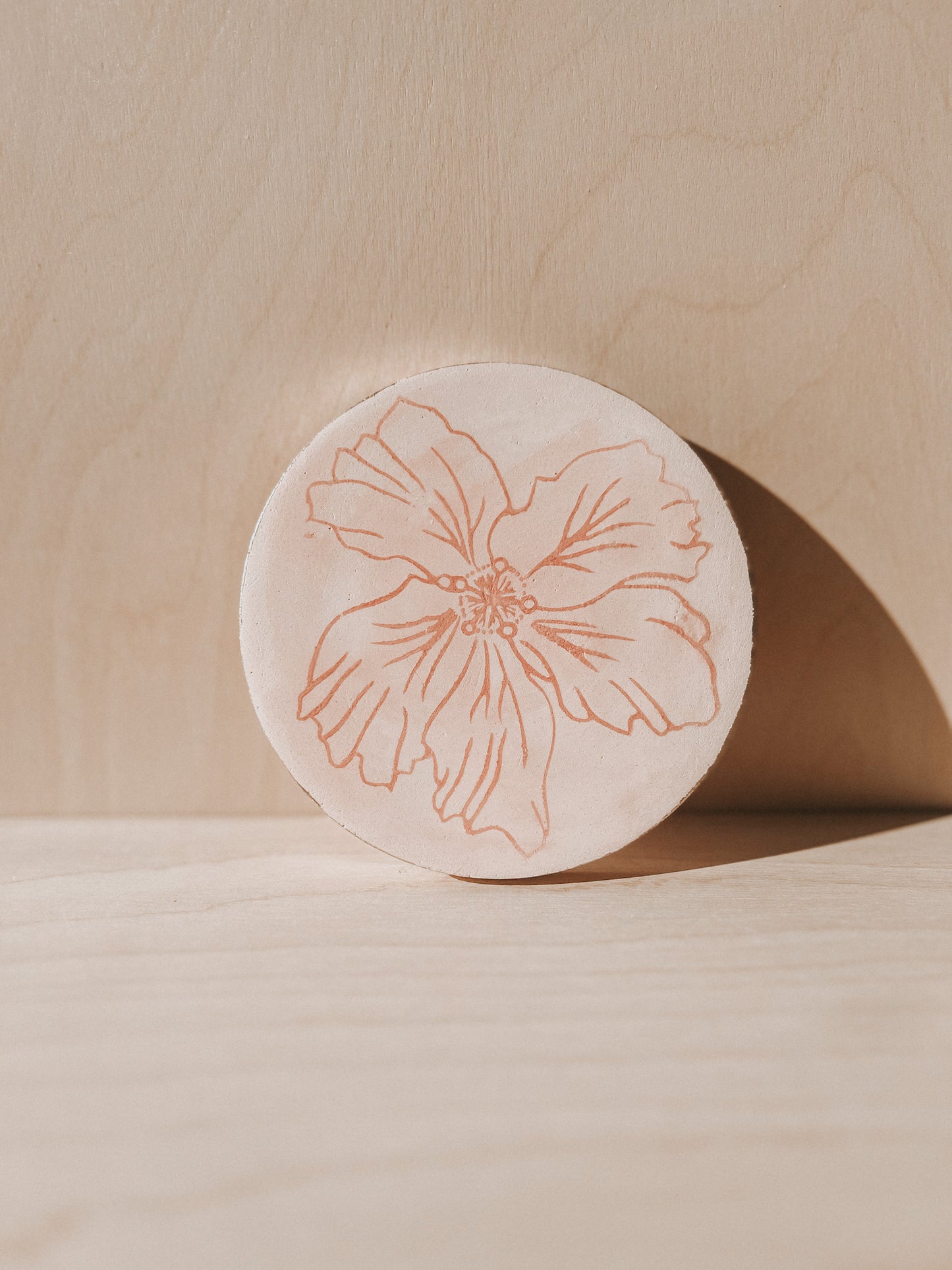 Hibiscus Plaster Studies