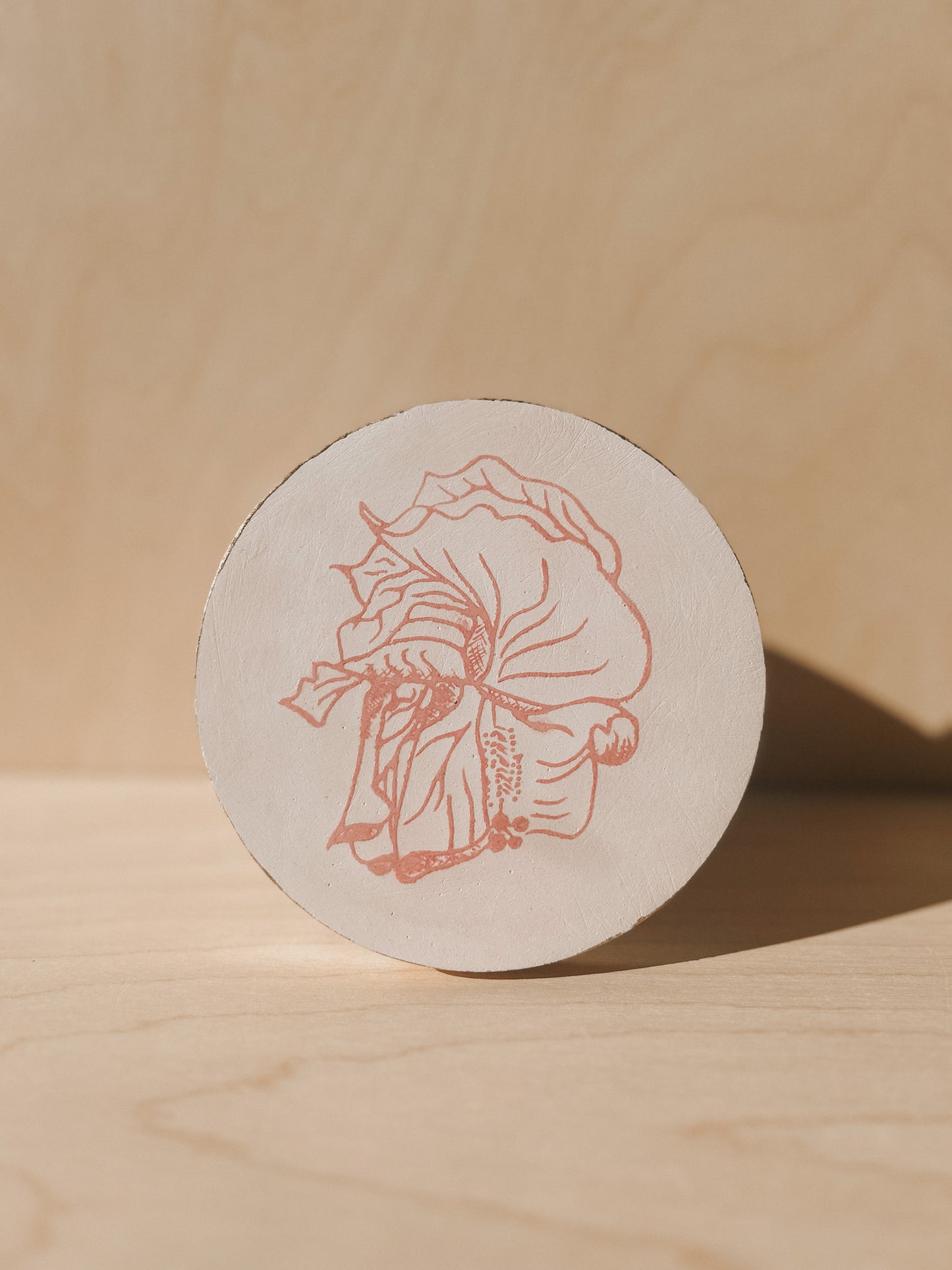 Hibiscus Plaster Studies