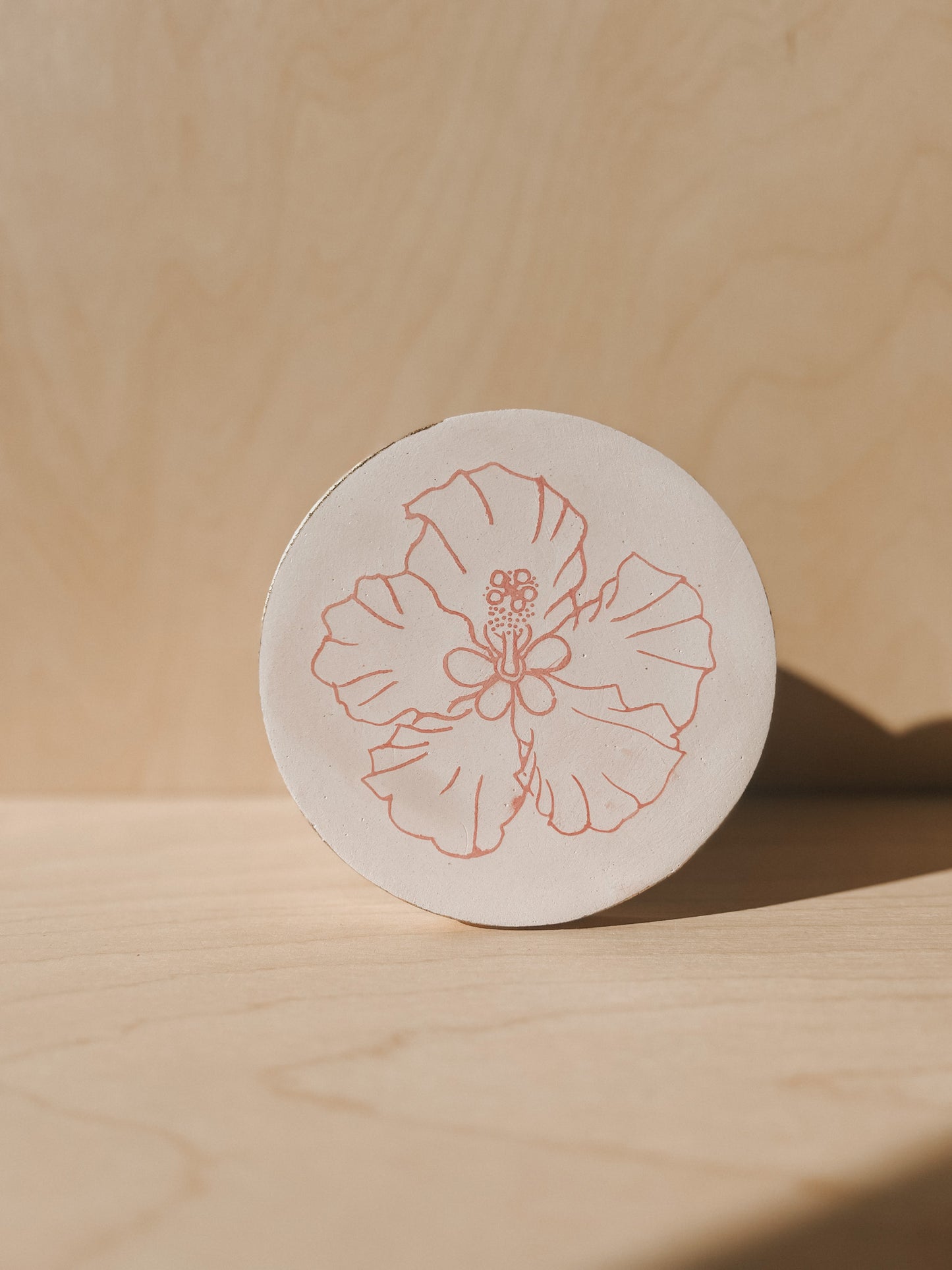 Hibiscus Plaster Studies