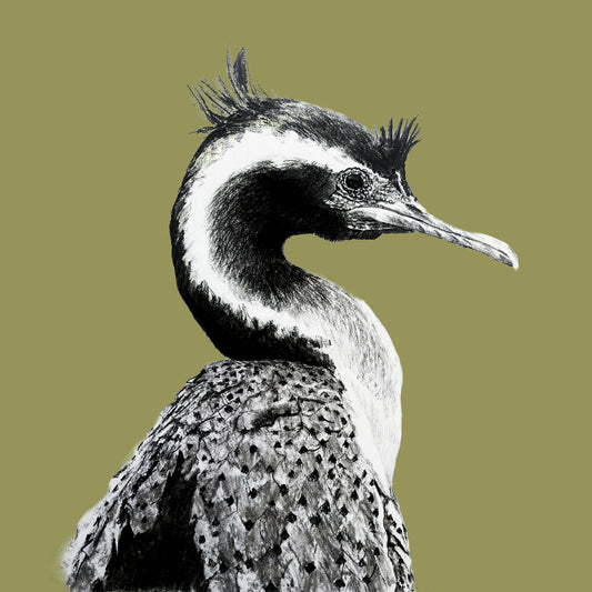 Claire Mortimer Cards