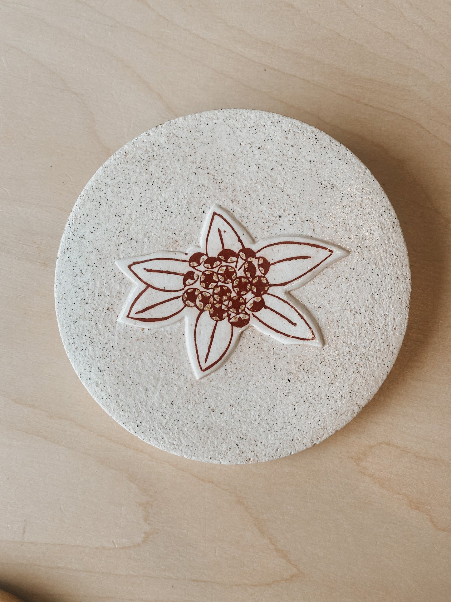 Seasonal Growth (Pohutukawa) Plaster Studies