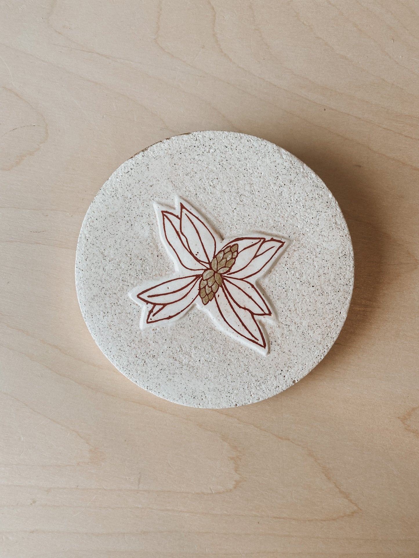 Seasonal Growth (Pohutukawa) Plaster Studies