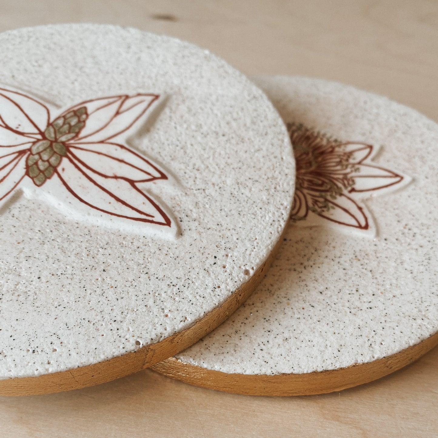 Seasonal Growth (Pohutukawa) Plaster Studies