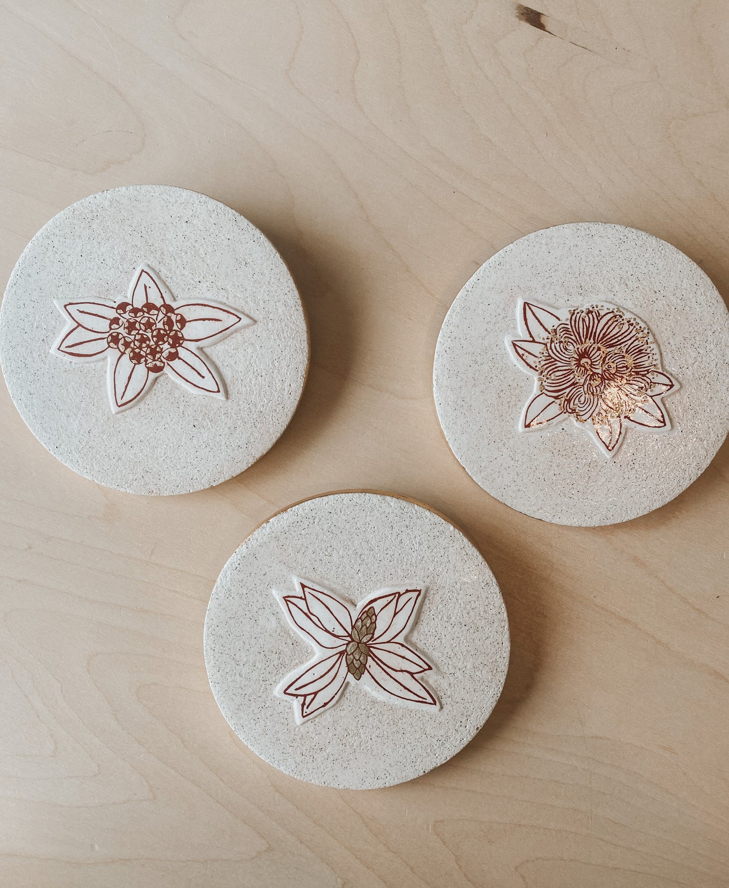 Seasonal Growth (Pohutukawa) Plaster Studies