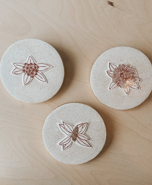 Seasonal Growth (Pohutukawa) Plaster Studies