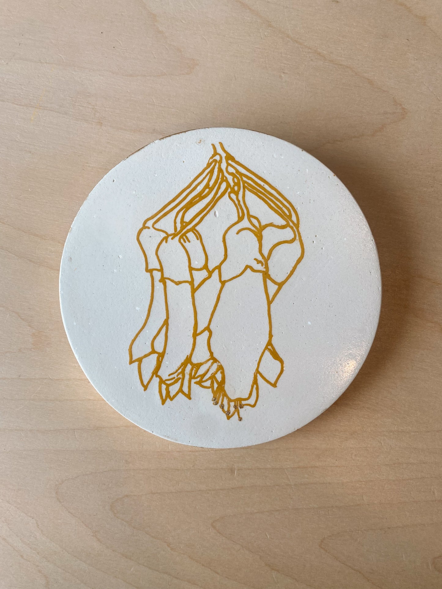 Kōwhai Plaster Studies