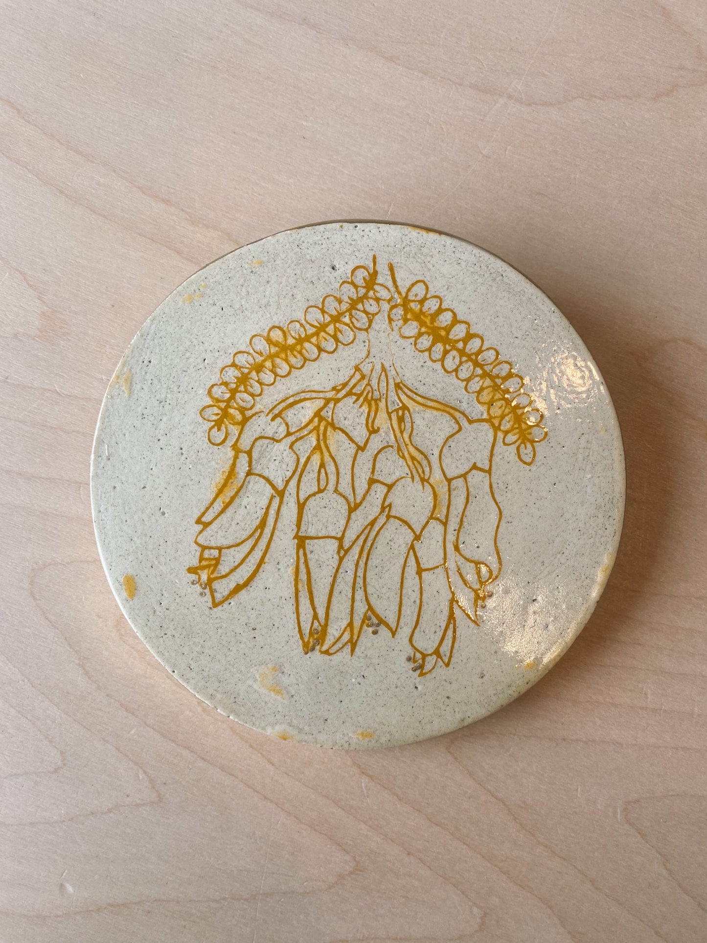 Kōwhai Plaster Studies