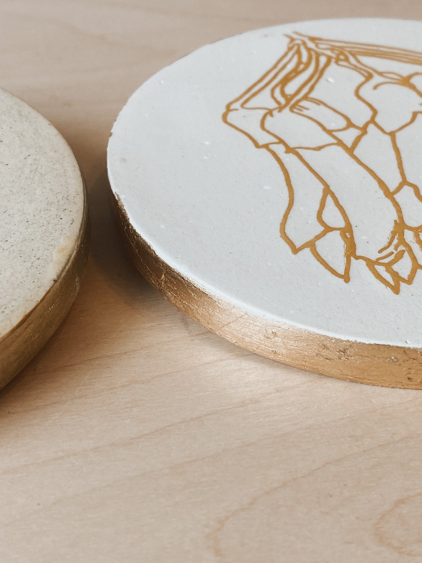 Kōwhai Plaster Studies