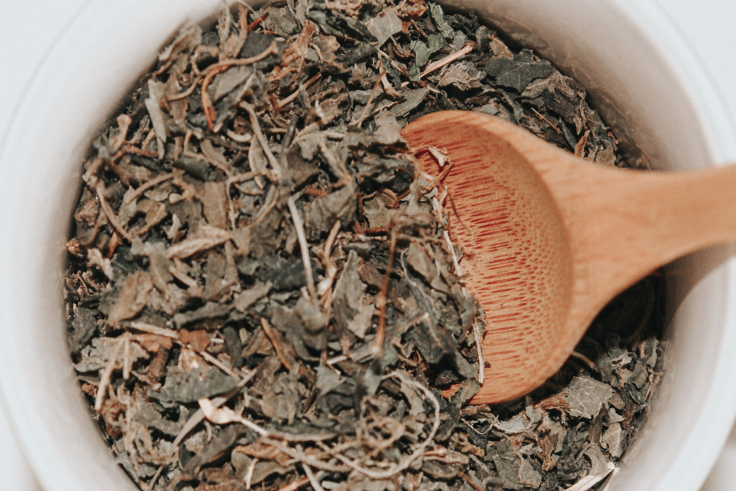Nettle