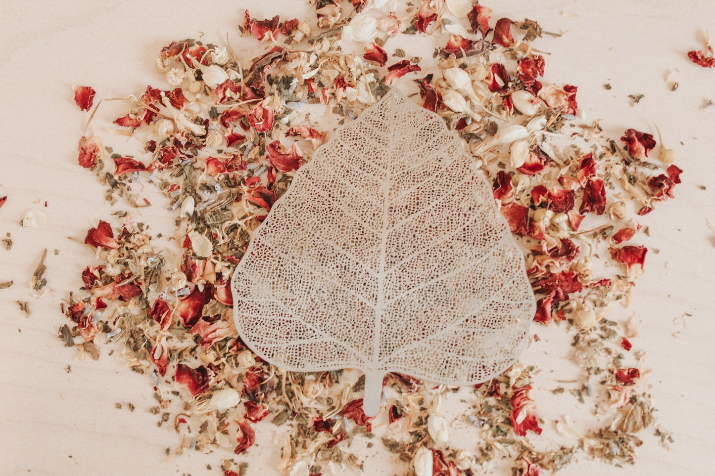 Stainless Steel Leaf Strainer