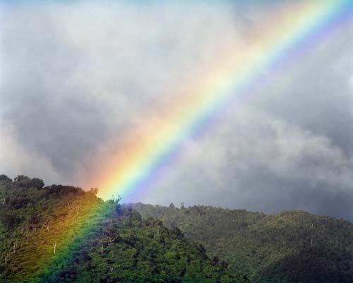 Ūenuku: Standing in Two Truths at Once - Timmy Smith