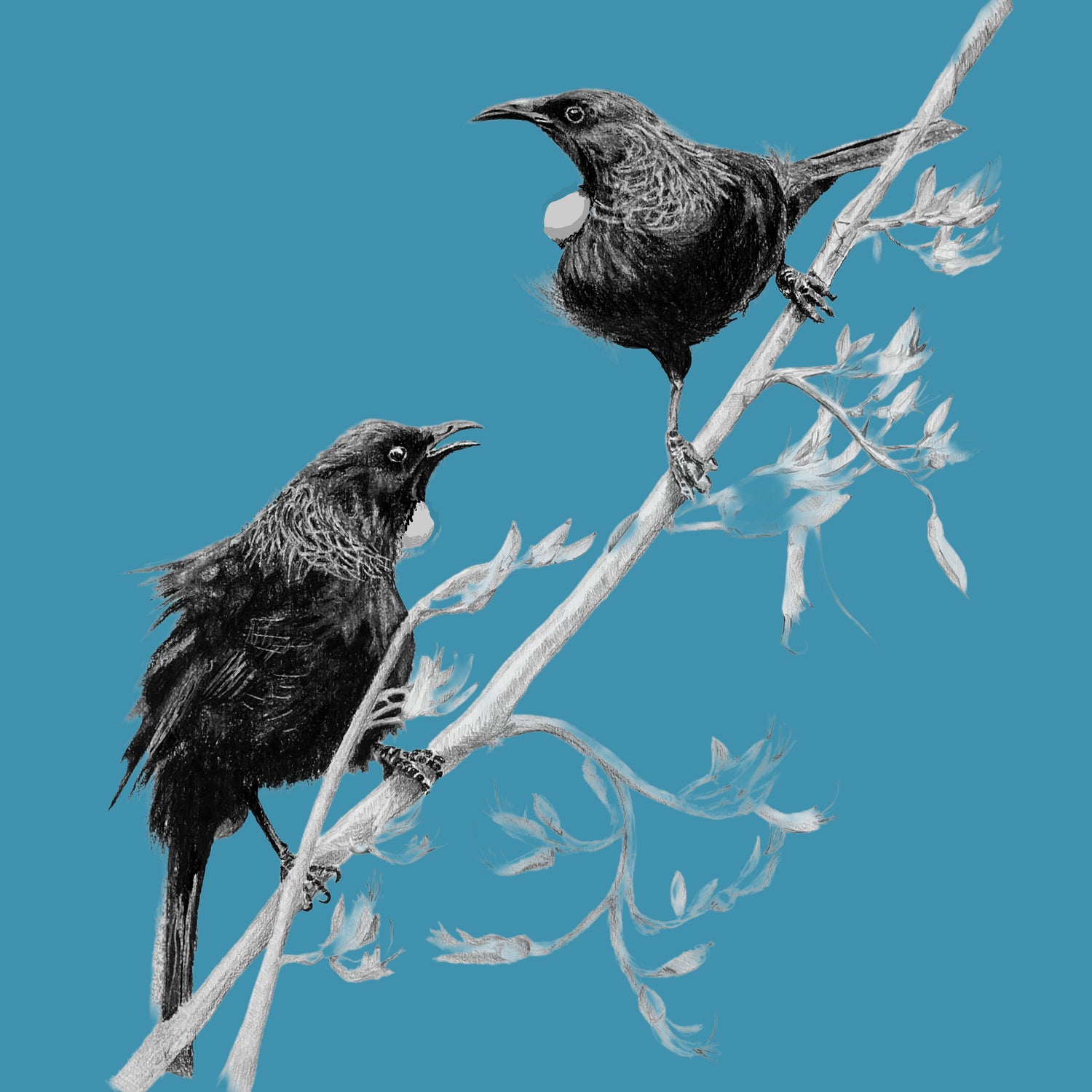 Artist Claire Mortimer