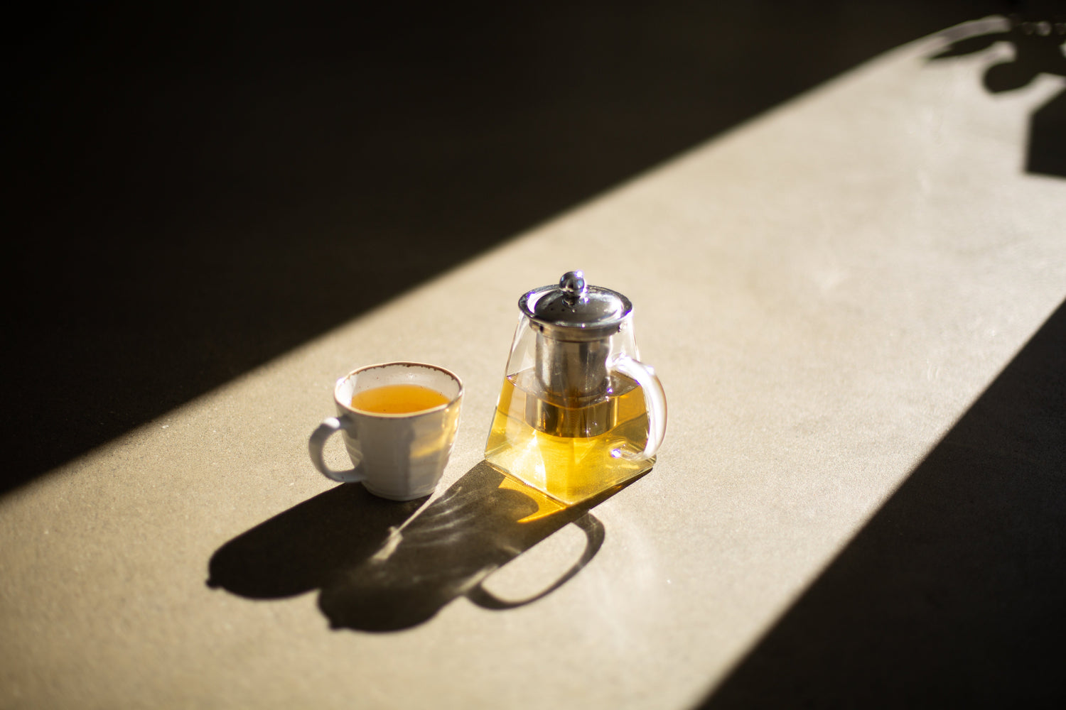 winter wellness bundle teapot zest tea Timmy Smith 