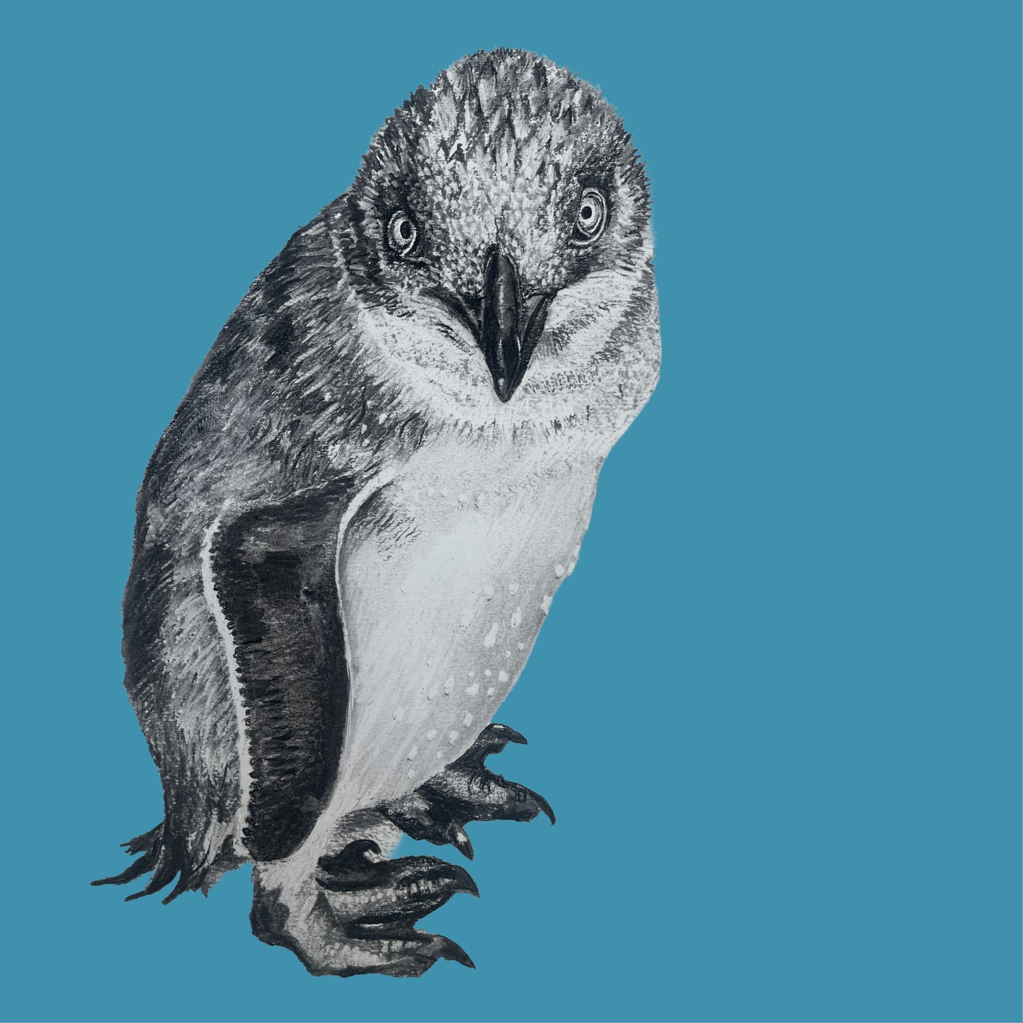 Claire Mortimer Cards