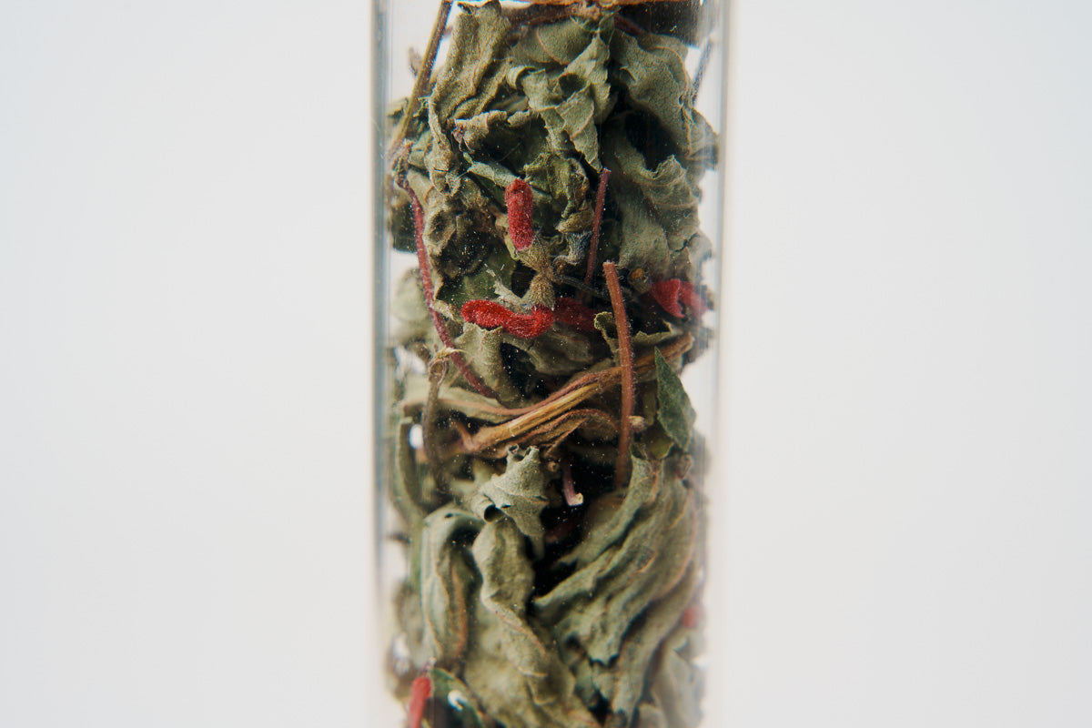 Piritahi Pineapple Sage