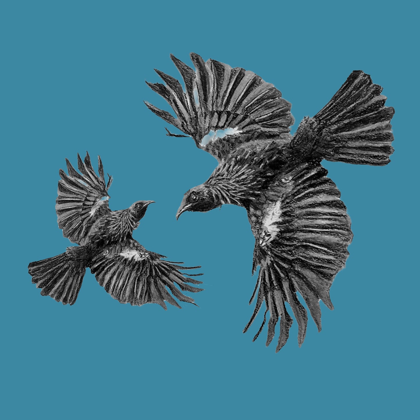 Claire Mortimer Cards