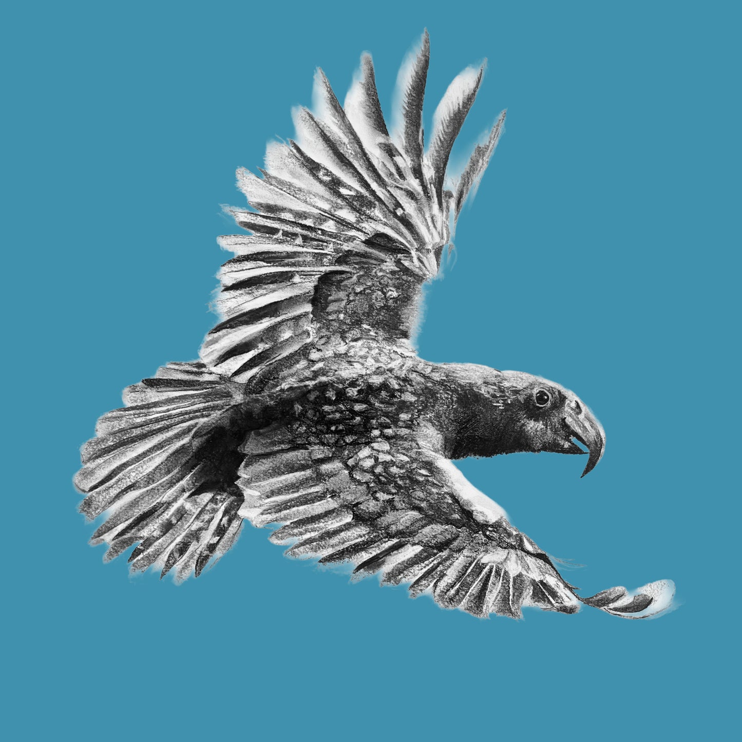 Claire Mortimer Cards