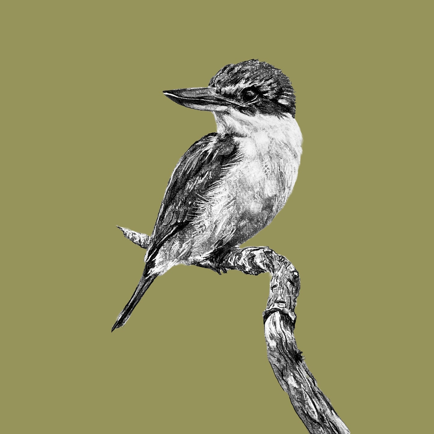 Claire Mortimer Cards