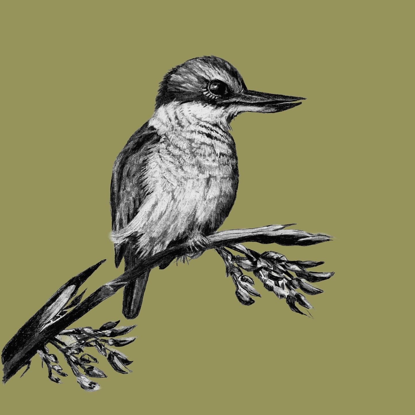 Claire Mortimer Cards