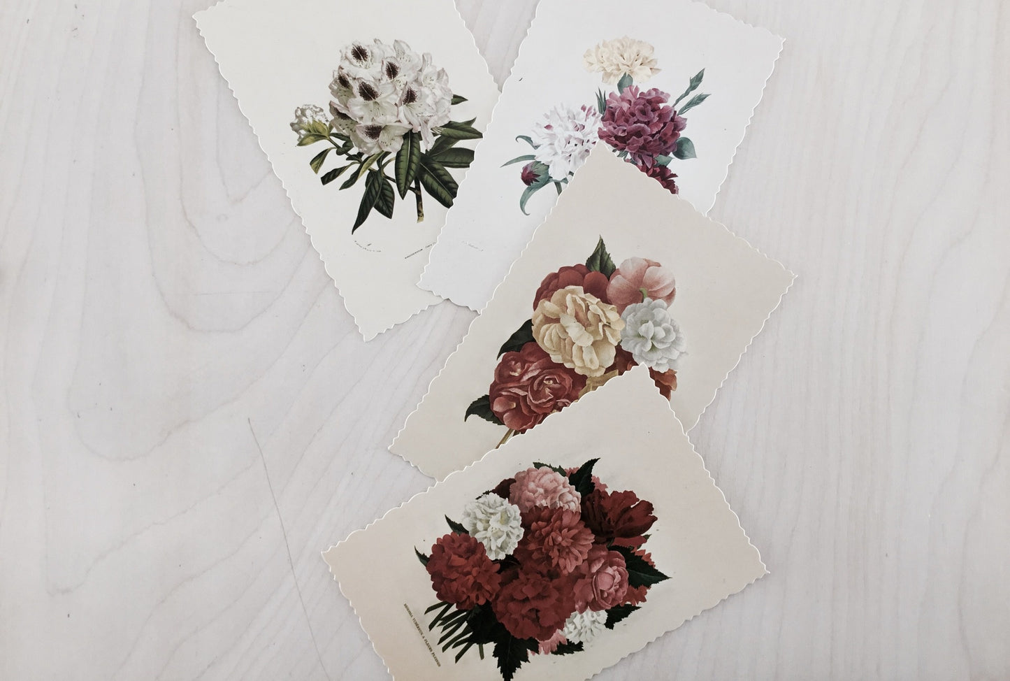 Botanical Post Cards
