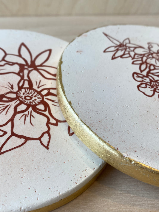 Manuka Plaster Studies